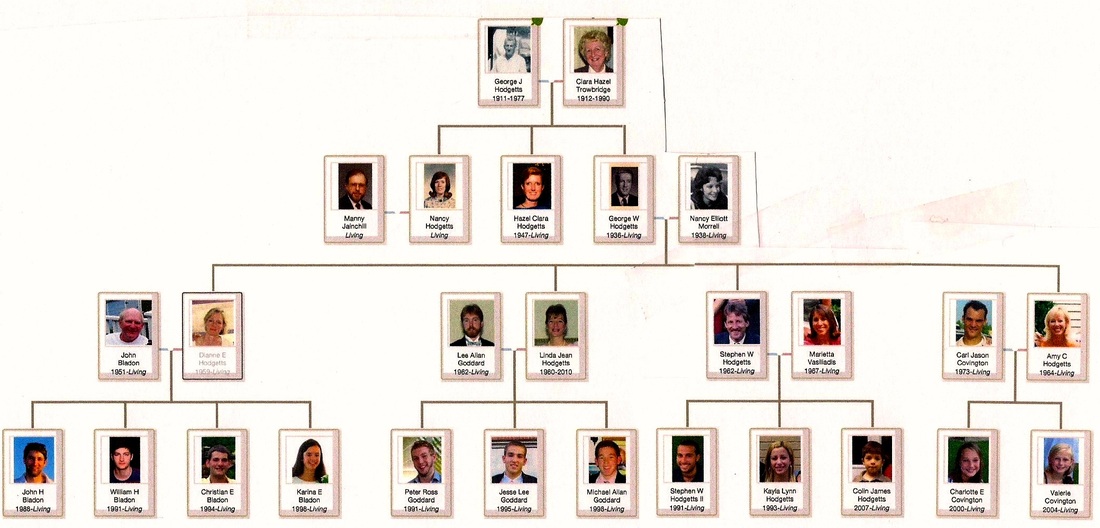 Our Family Tree - George W Hodgetts